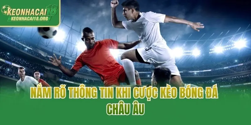 Nắm rõ thông tin khi cược kèo bóng đá Châu Âu