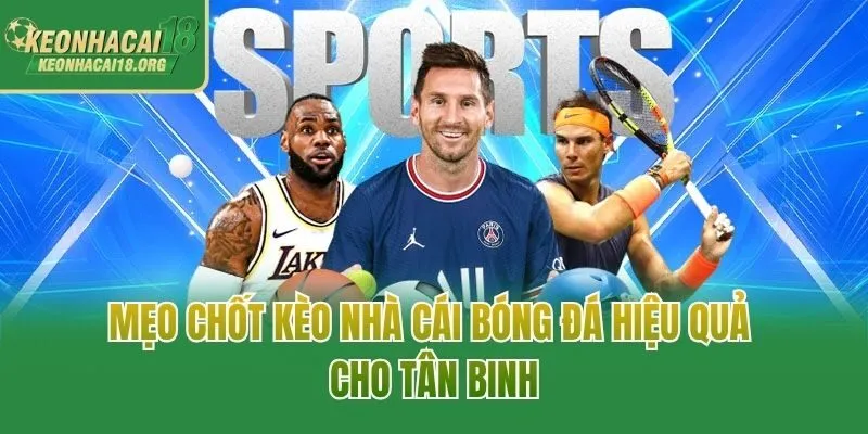 Mẹo chốt kèo nhà cái bóng đá hiệu quả cho tân binh