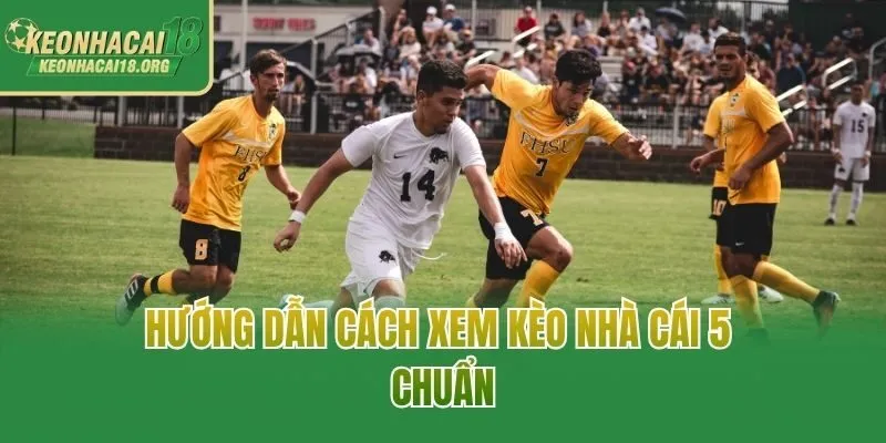 Hướng dẫn cách xem kèo nhà cái 5 chuẩn